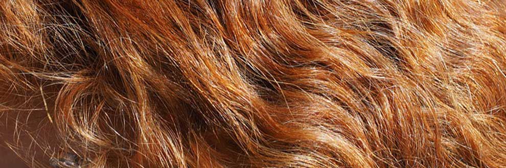 Da dove vengono i capelli rossi? Una ricerca scientifica ce lo svela